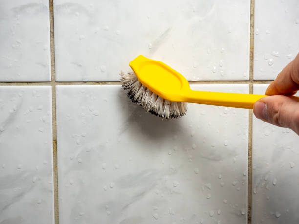 Professional Mold Remediation in Thunderbolt, GA